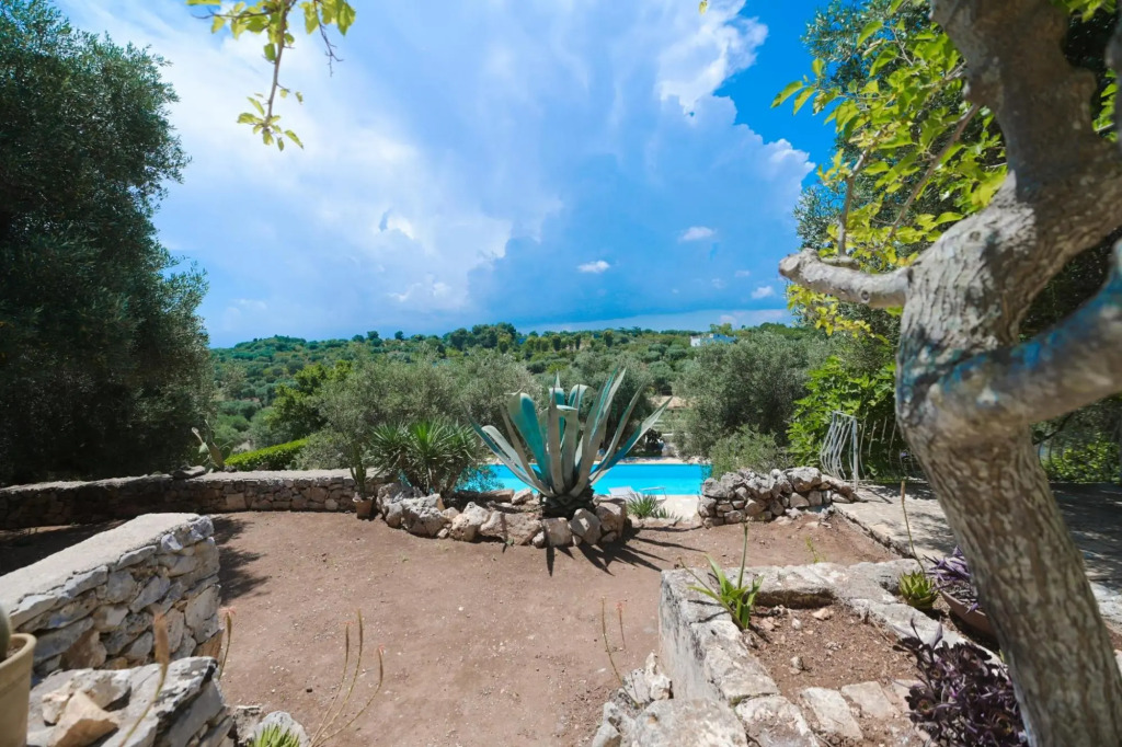 Trullo Agapanthus