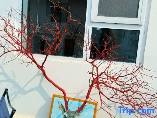 Wuliangtang Healing Art Homestay (Laoshan Scenic Spot)