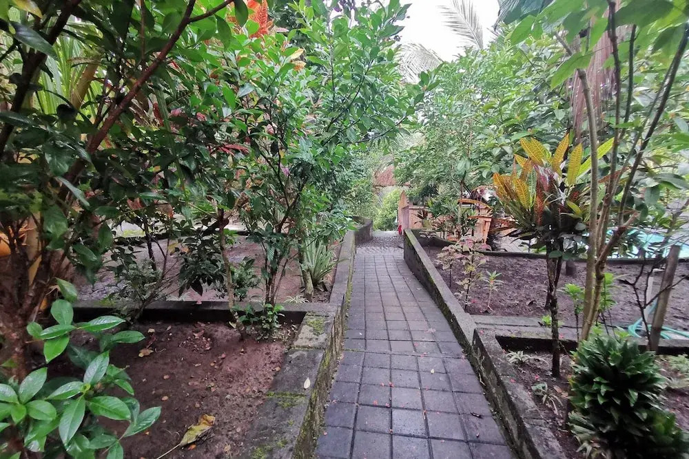 Balian Green Lagoon