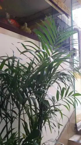Fushengxiang Hostel