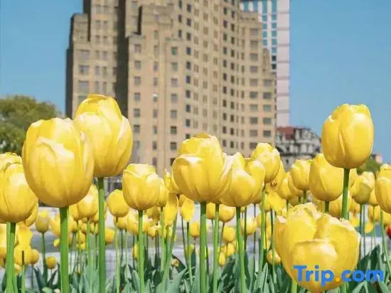 Jinglai Hotel • Select (Shanghai Jingan Changshou Road Metro Station Branch)