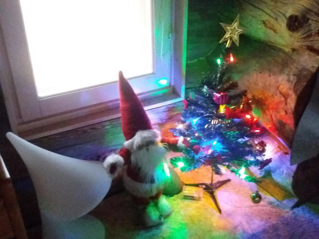 A room  in a Lapland House of Dreams
