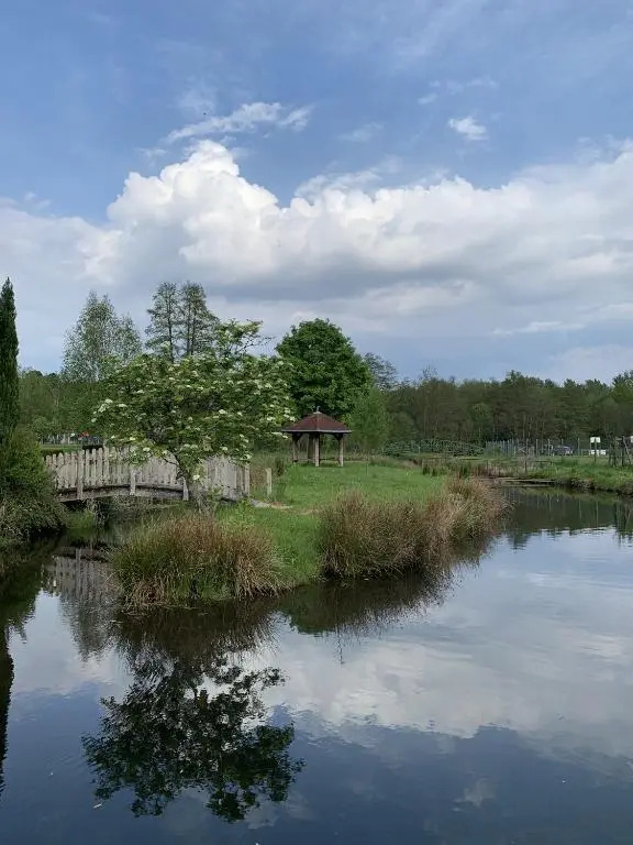 Camping De La Sarre