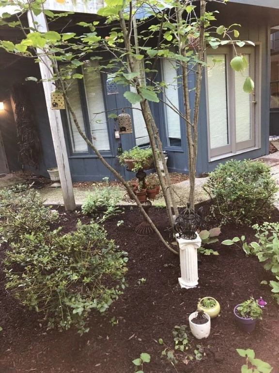 TreePot TeaHouse and Garden