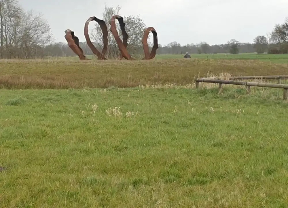 Lodges in Drenthe With Scenic Meadow Views