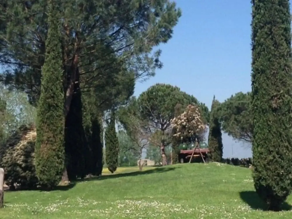 Fattoria Settepassi
