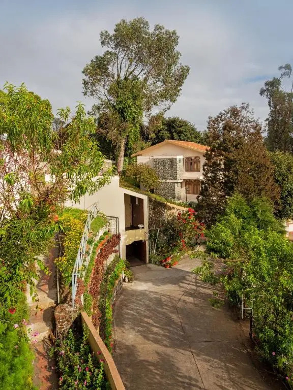 Mango Hill Kodai