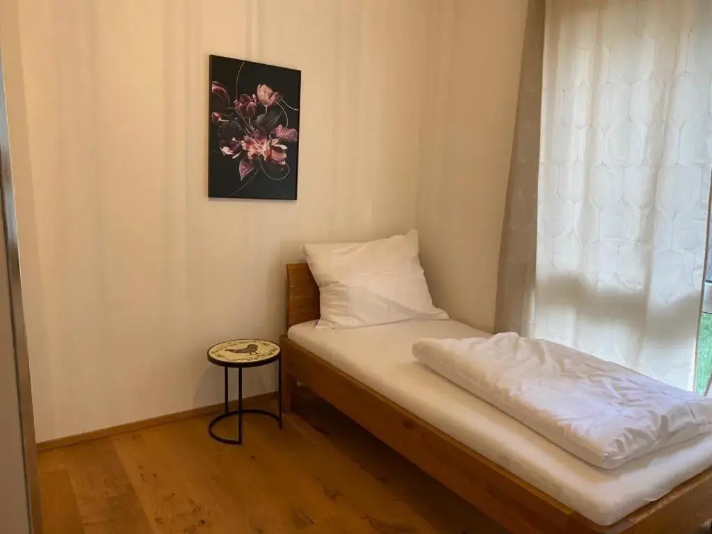 Modern apartment near city center - garden