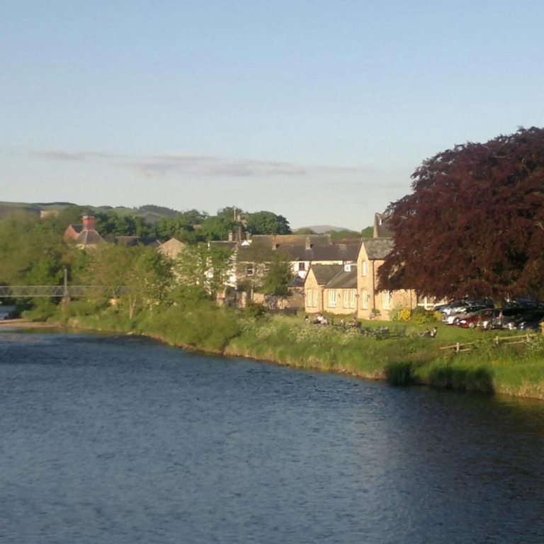 Trout Hotel