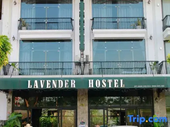 Lavender Hotel 202 Nam Đuong