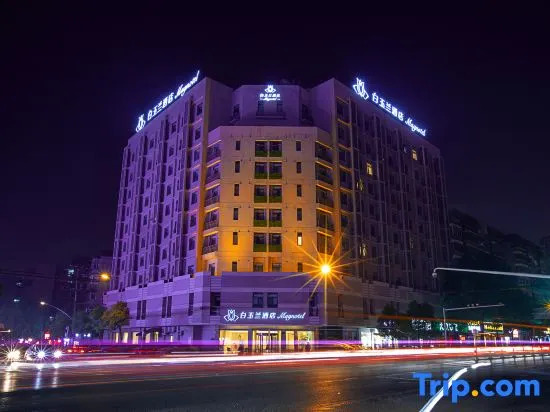 Magnotel Hotel (Wuhan Wushang Dream Times Baotong Temple Subway Station)