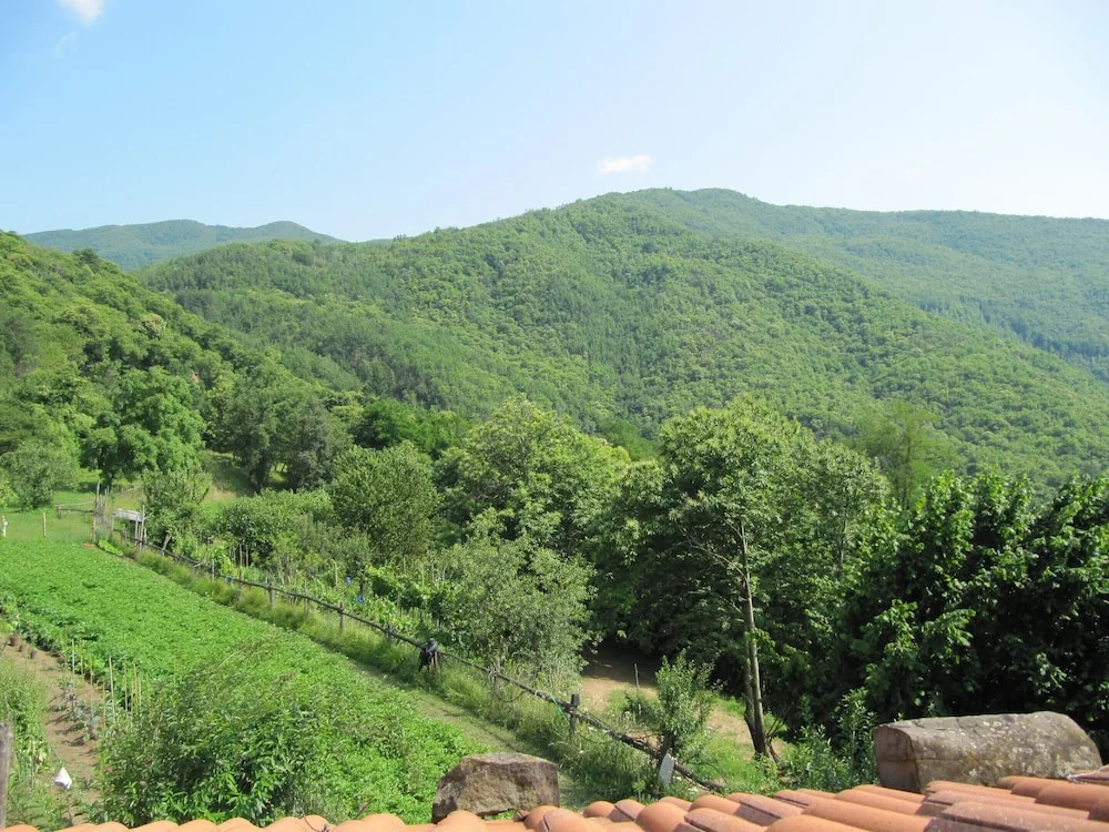 Cottage in Casoli near Ski Slopes