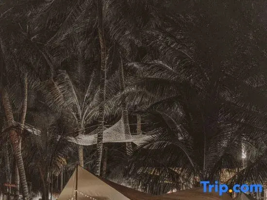 Yusheng Viva La Vida Glamping