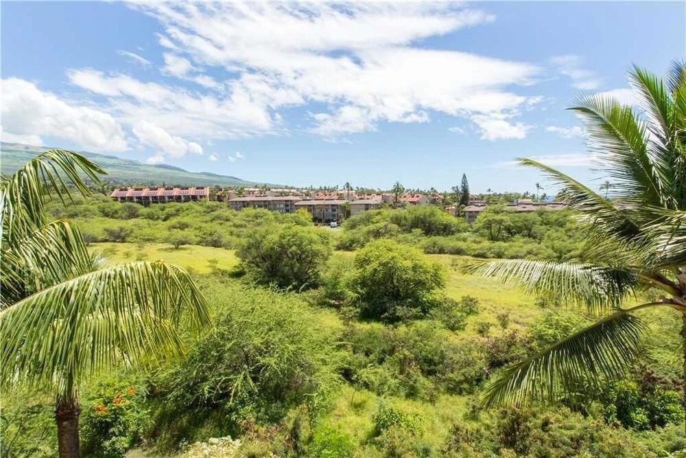 Maui Banyan H503 - One Bedroom Condo with Ocean View