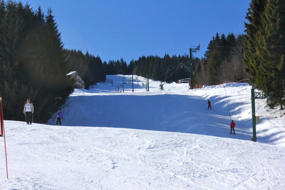 Apartment With 2 Bedrooms in Xonrupt-longemer - 10 km From the Slopes