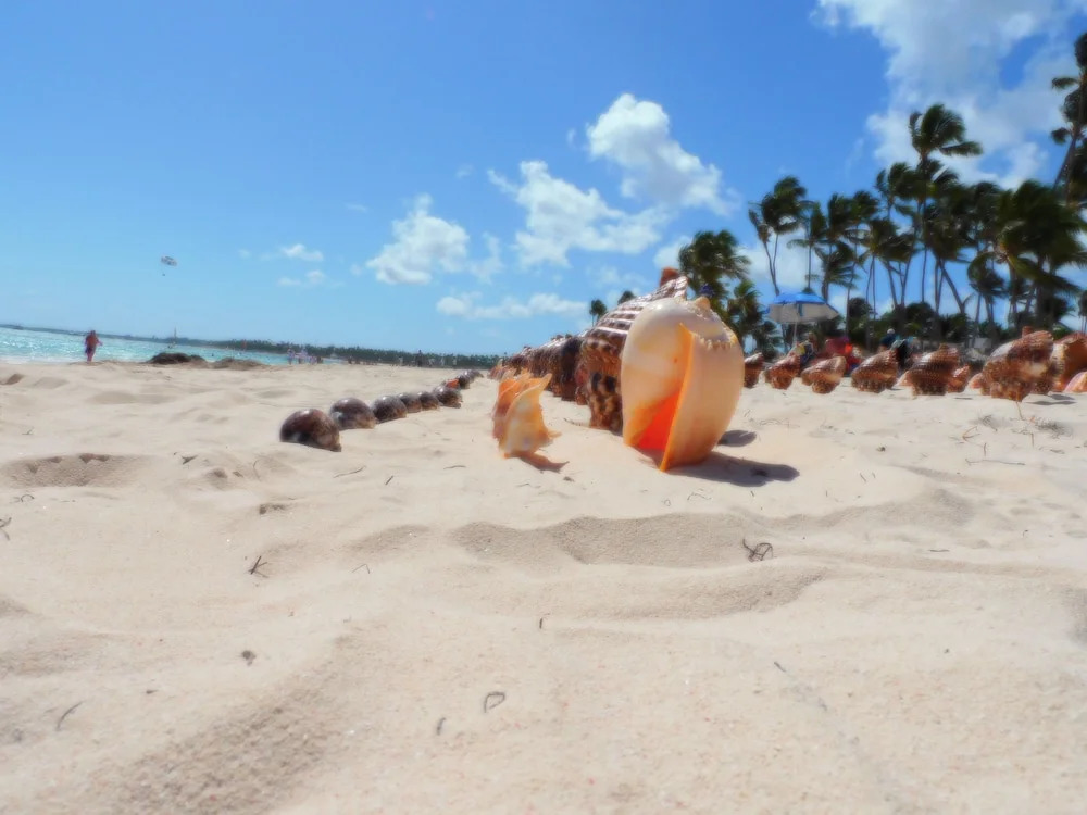 Quiet Beach apartment Condo steps on the Bavaro Beach Los Corales Dr