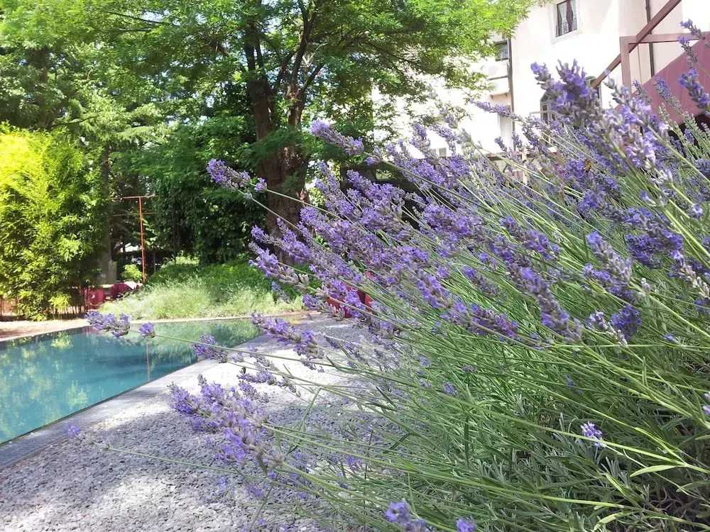 Hotel Clocchiatti Next