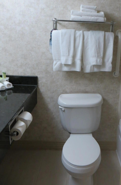Holiday Inn Express Hotel and Suites Pearsall by IHG