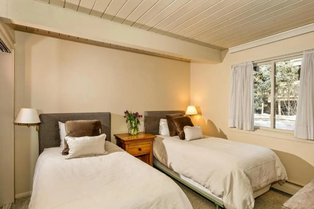 Aspen Alps Apartment #106