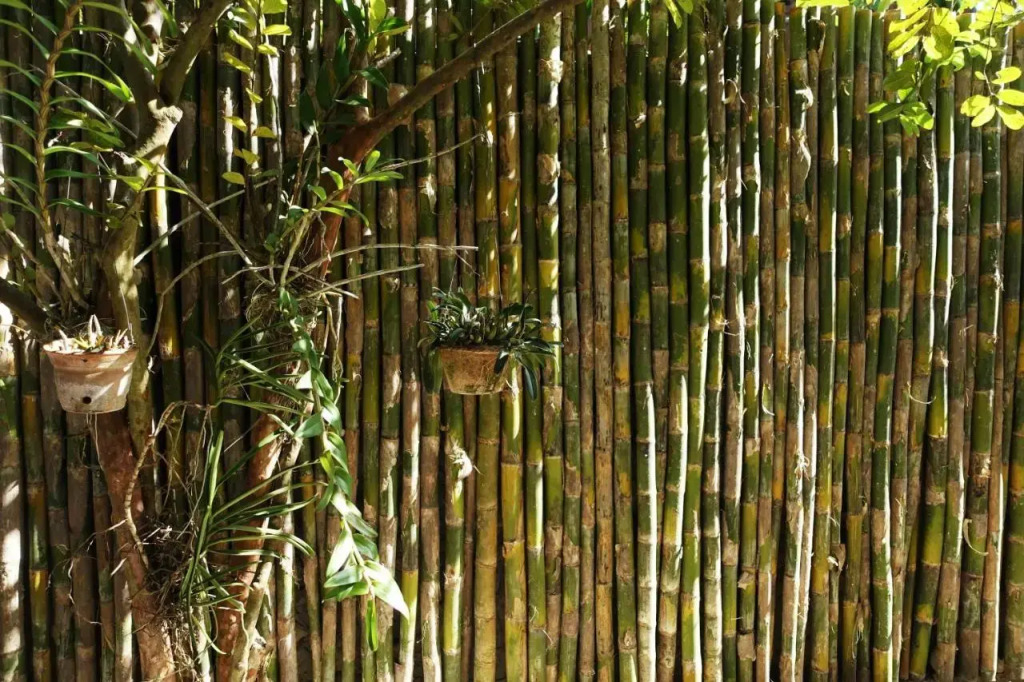 Som Khounmeung Guesthouse