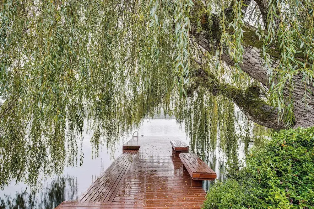 'lakehouse Living' Waterfront Retreat Near Tacoma