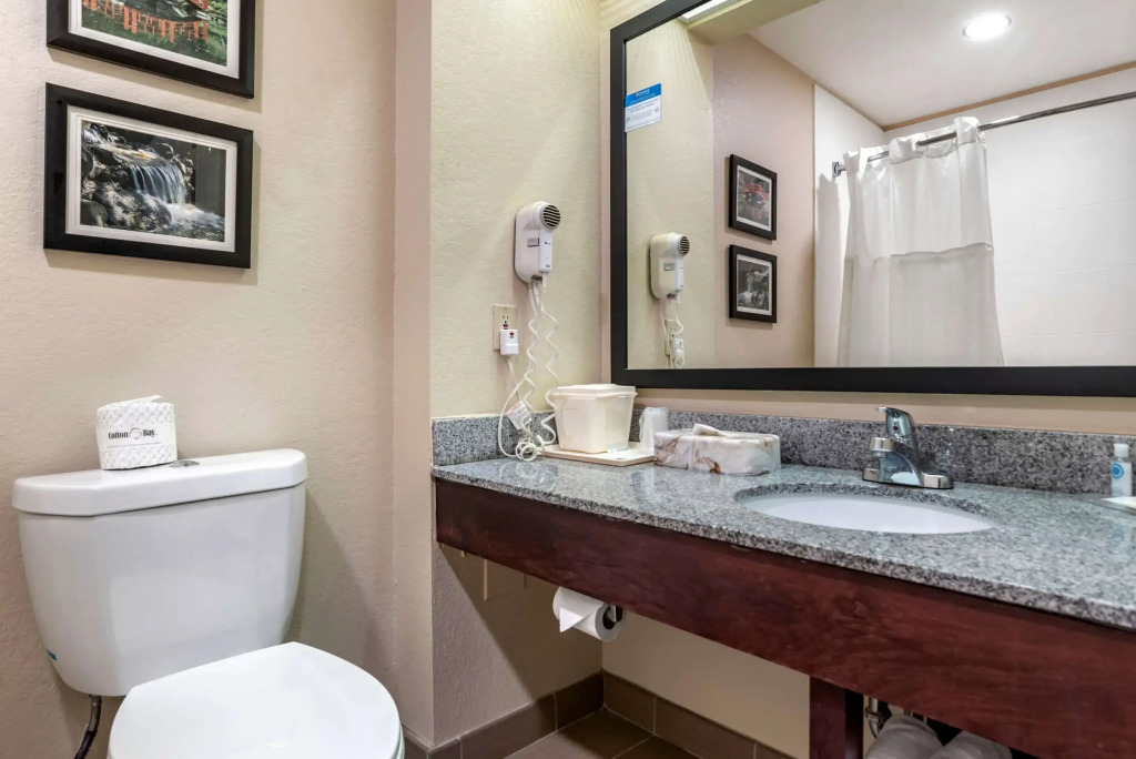 Comfort Inn Birmingham - Irondale