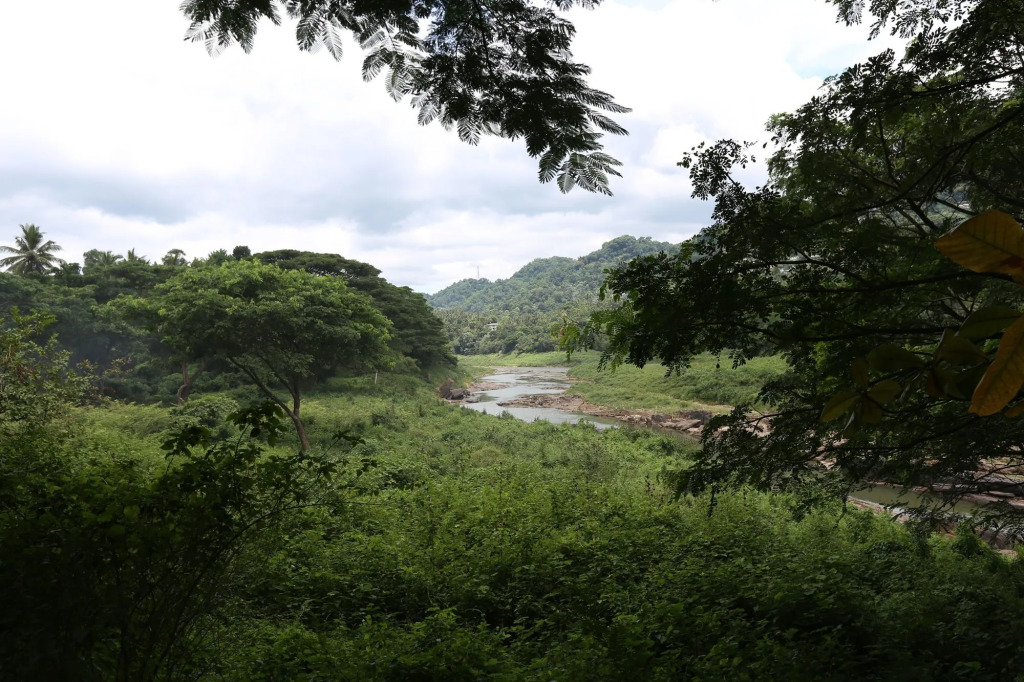 Riverside Homestay Apartments