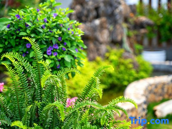Hersy Vista · Hesi | 270° Panoramic Erhai-Cangshan View Boutique Stay
