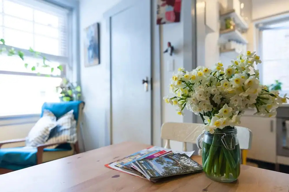 Beautiful Lush and Green Oasis Studio Apartment