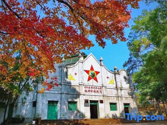 Starlight Homestay