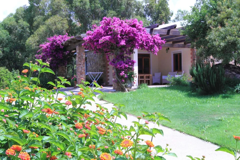 Quiet and Relaxing, Surrounded by Greenery a few Kilometers From the sea