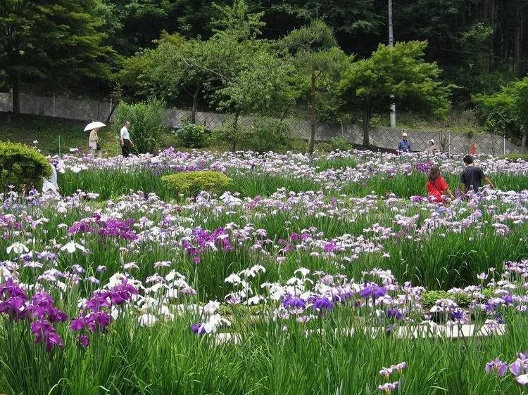 Ryokamiso Hotel