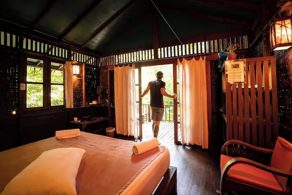 Our Jungle House