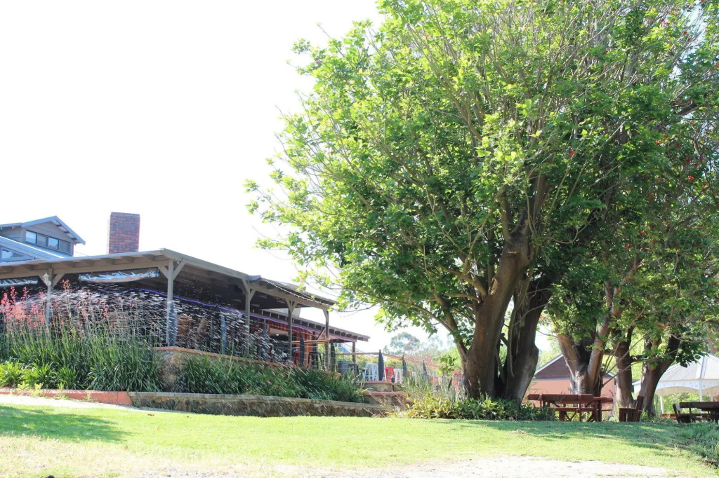Avocados Accommodation