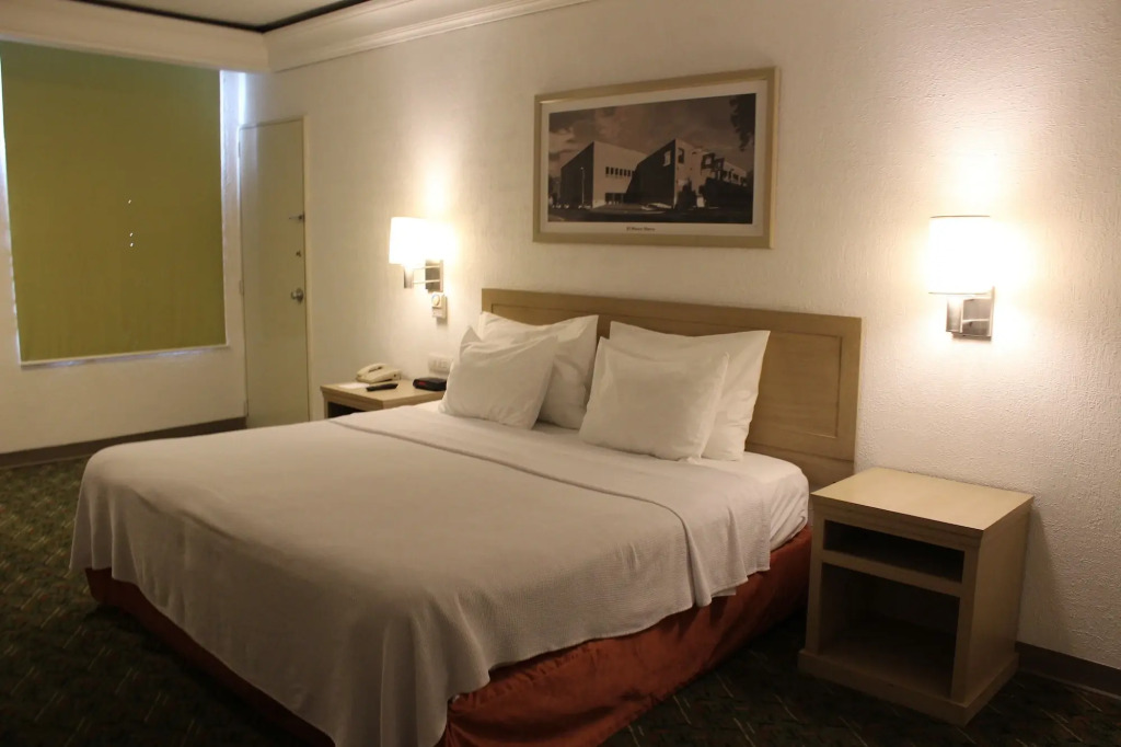 Hotel Monterrey Macroplaza