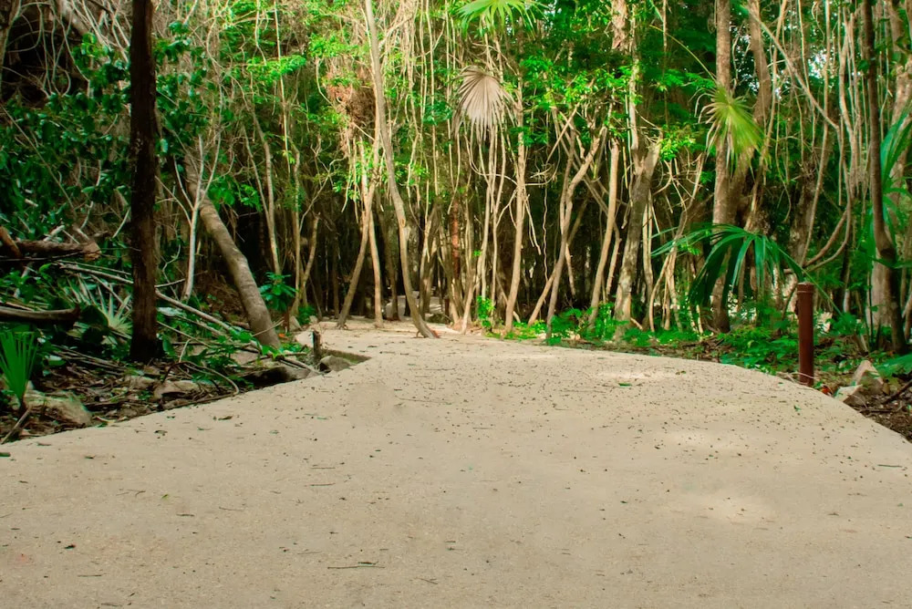 Hotel Casa Tortuga Tulum - Cenotes Park Inclusive