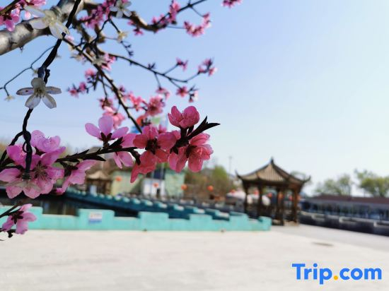 Yixin Manor (Miyun Reservoir Branch)