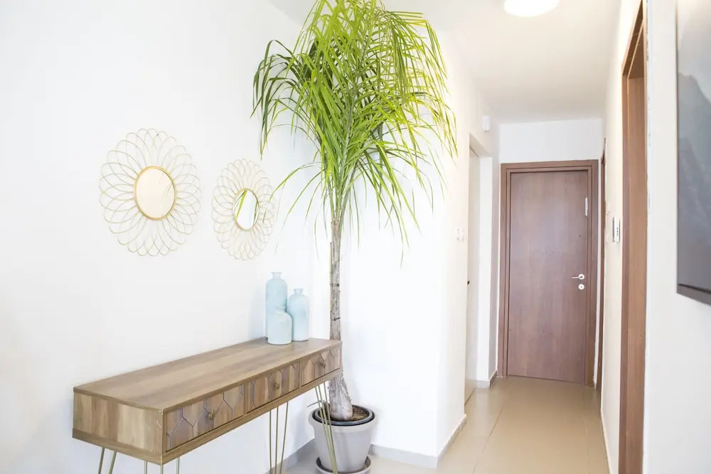 Lakeview Oasis