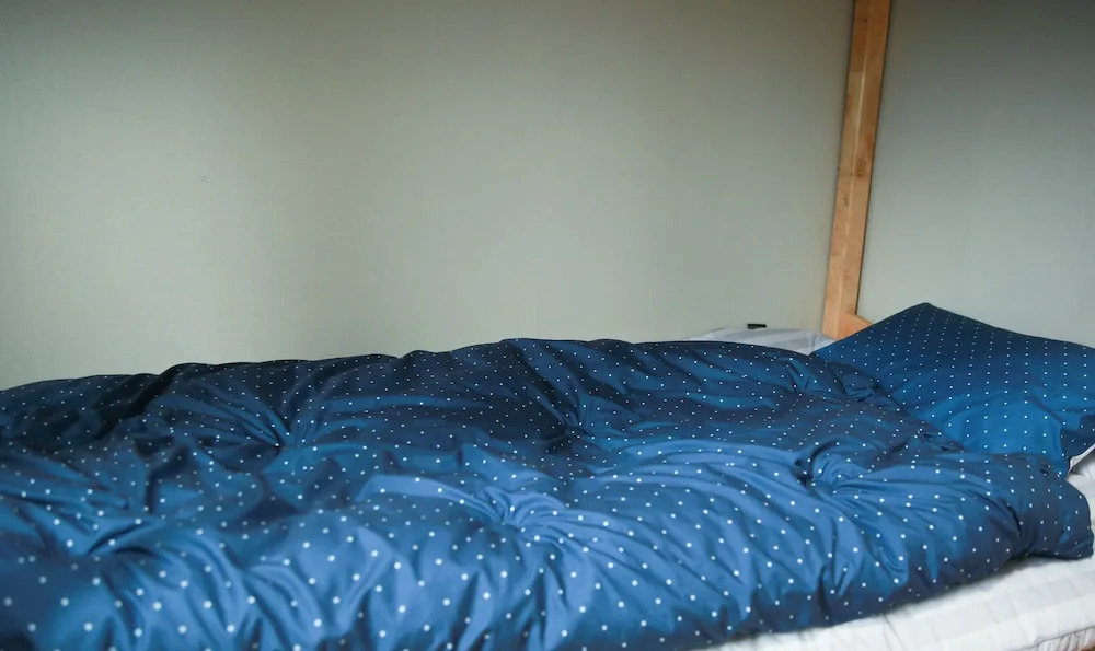 Golmok Guest House - Hostel