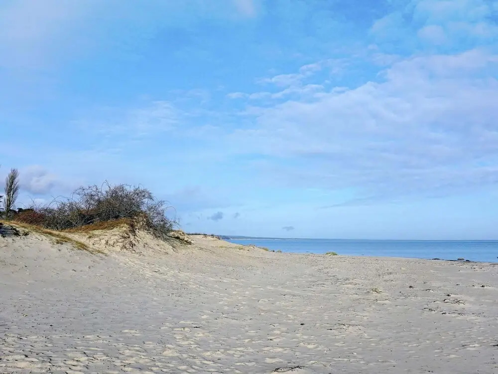 4 Person Holiday Home in Kivik