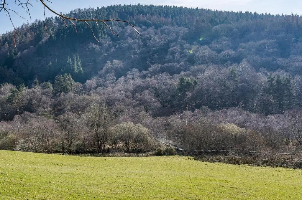 Glendalough International Youth Hostel