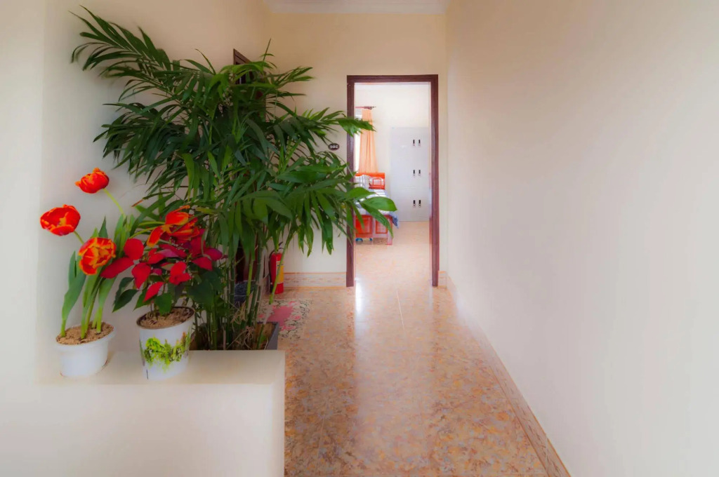 Robin Hill Guesthouse