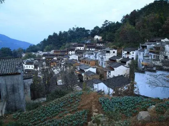Wuyuan Linxi Youke Homestay (Guling Scenic Area)