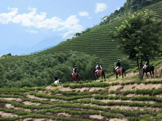 Mengye Moganshan Migong Garden Castle Homestay