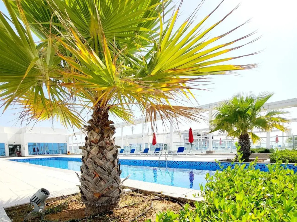 Luxurious Studio Pacific Al Marjan Island