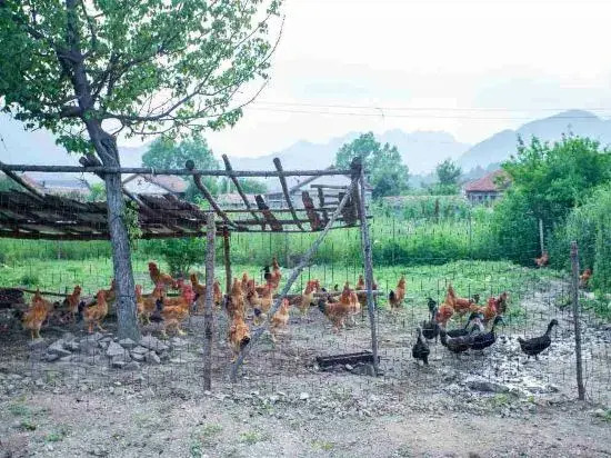 Xibaojia Boutique Guesthouse