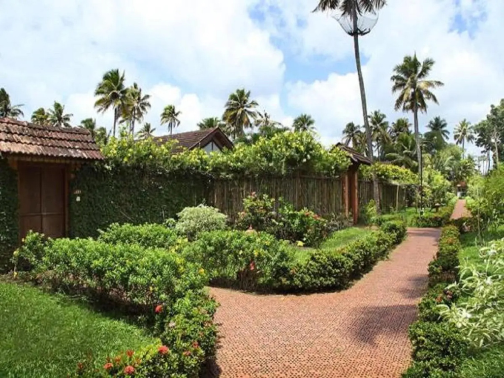 Abad Whispering Palms