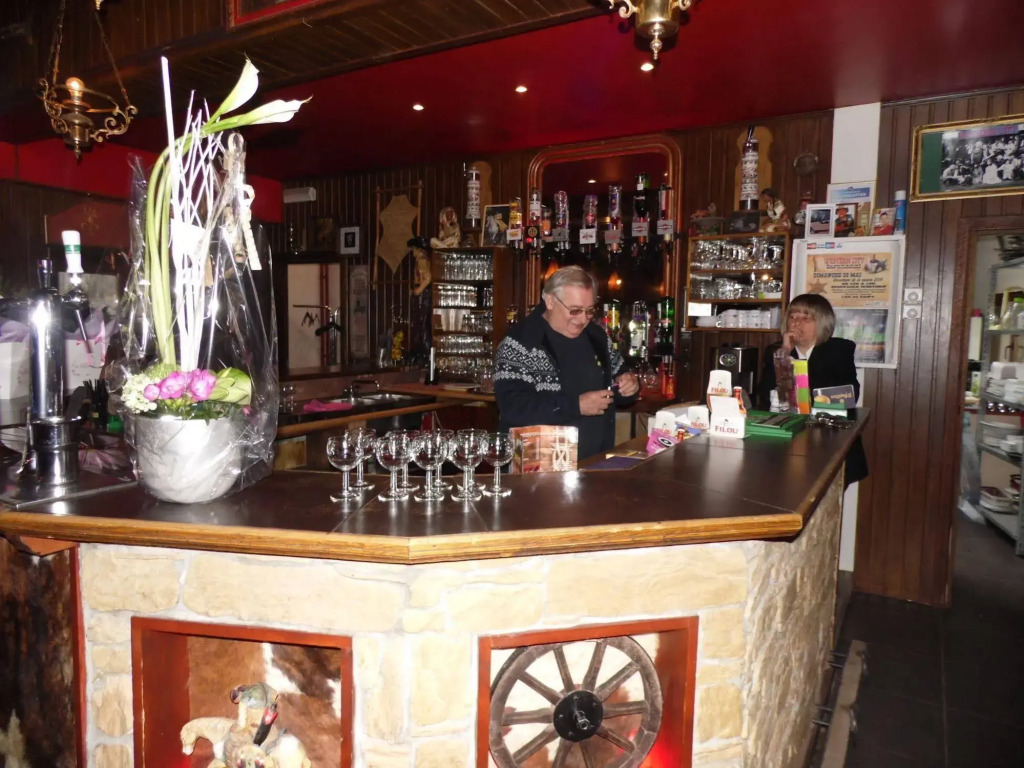 Guest house Western-city