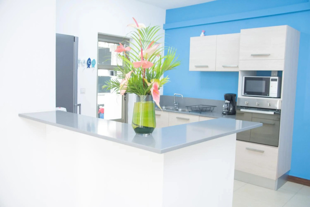 Entire Apartment in Tamarin Riviere Noire