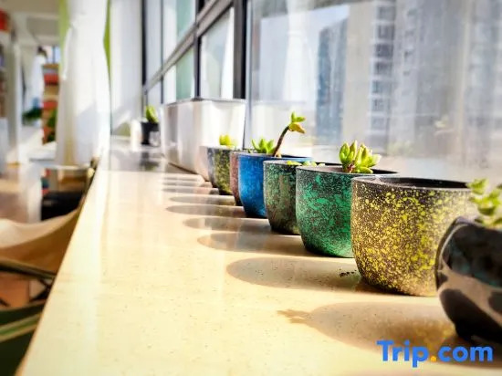 Tiny Spot Hostel